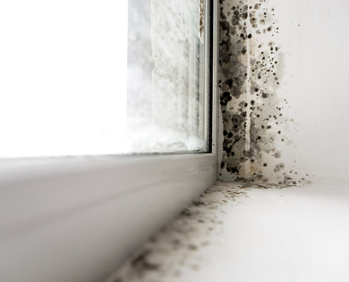 Schimmelbildung Innenraum am Fenster